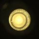 The sample tube aboard Perseverance didn't turn up a rock, unfortunately.